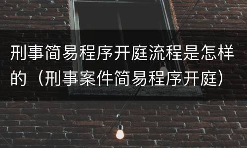 刑事简易程序开庭流程是怎样的（刑事案件简易程序开庭）