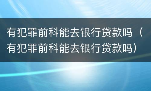 有犯罪前科能去银行贷款吗（有犯罪前科能去银行贷款吗）