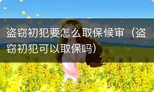 盗窃初犯要怎么取保候审（盗窃初犯可以取保吗）