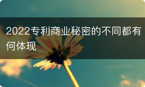 2022专利商业秘密的不同都有何体现