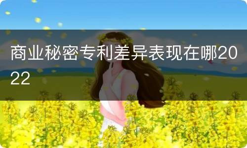 商业秘密专利差异表现在哪2022