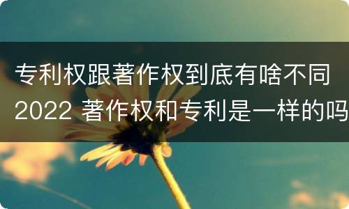 专利权跟著作权到底有啥不同2022 著作权和专利是一样的吗