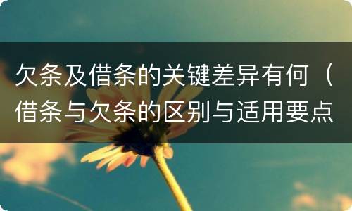 欠条及借条的关键差异有何（借条与欠条的区别与适用要点）