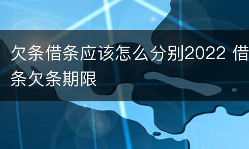 欠条借条应该怎么分别2022 借条欠条期限