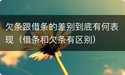 欠条跟借条的差别到底有何表现（借条和欠条有区别）