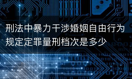 刑法中暴力干涉婚姻自由行为规定定罪量刑档次是多少