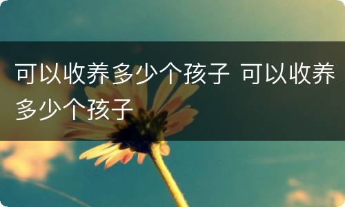 可以收养多少个孩子 可以收养多少个孩子