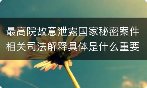 最高院故意泄露国家秘密案件相关司法解释具体是什么重要内容