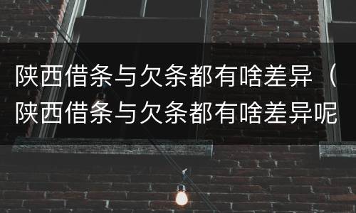 陕西借条与欠条都有啥差异（陕西借条与欠条都有啥差异呢）