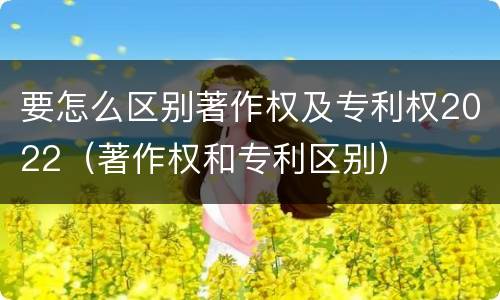 要怎么区别著作权及专利权2022（著作权和专利区别）