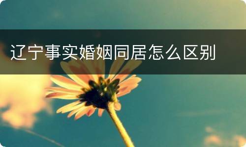 辽宁事实婚姻同居怎么区别