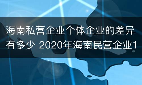 海南私营企业个体企业的差异有多少 2020年海南民营企业100强