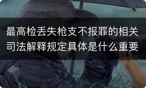 最高检丢失枪支不报罪的相关司法解释规定具体是什么重要内容