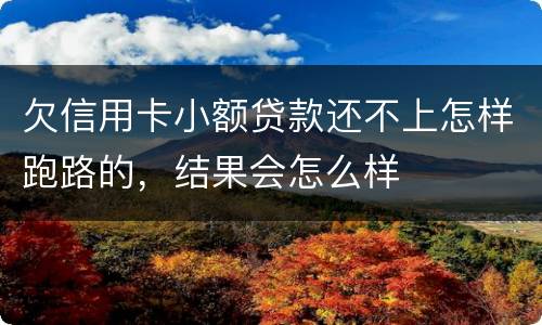 欠信用卡小额贷款还不上怎样跑路的，结果会怎么样