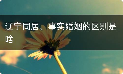 辽宁同居、事实婚姻的区别是啥