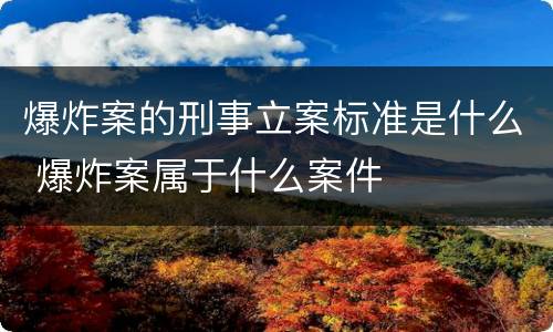 爆炸案的刑事立案标准是什么 爆炸案属于什么案件