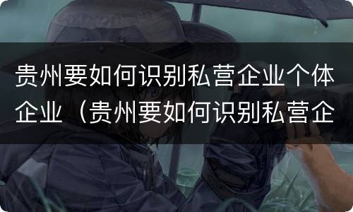 贵州要如何识别私营企业个体企业（贵州要如何识别私营企业个体企业名录）