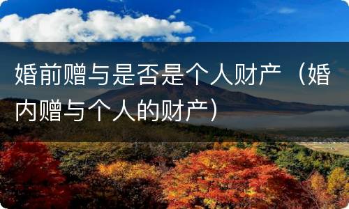婚前赠与是否是个人财产（婚内赠与个人的财产）