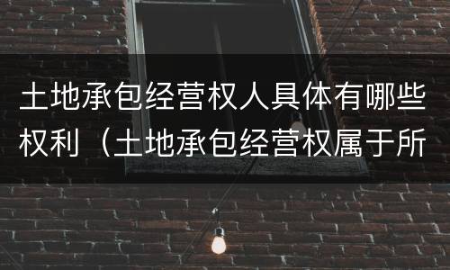 土地承包经营权人具体有哪些权利（土地承包经营权属于所有权吗）