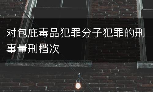对包庇毒品犯罪分子犯罪的刑事量刑档次