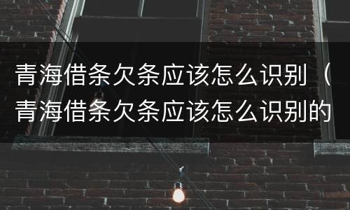 青海借条欠条应该怎么识别（青海借条欠条应该怎么识别的）