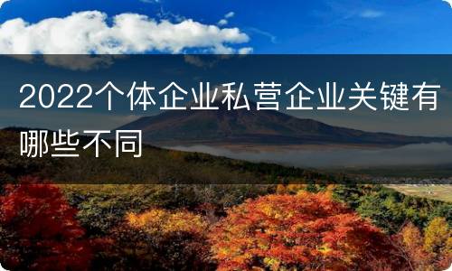2022个体企业私营企业关键有哪些不同