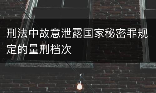 刑法中故意泄露国家秘密罪规定的量刑档次