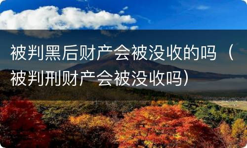 被判黑后财产会被没收的吗（被判刑财产会被没收吗）