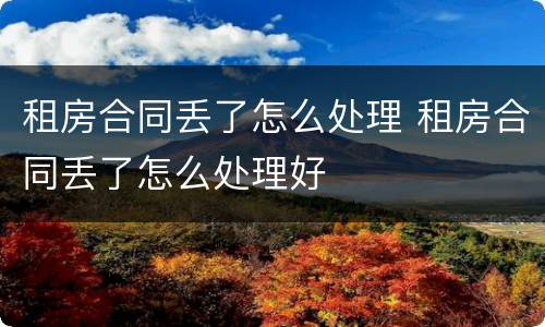 租房合同丢了怎么处理 租房合同丢了怎么处理好