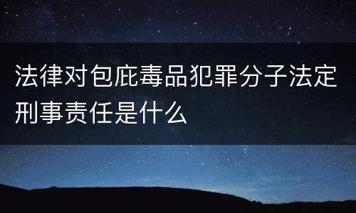 法律对包庇毒品犯罪分子法定刑事责任是什么