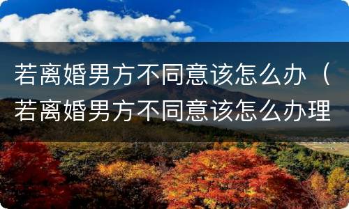 若离婚男方不同意该怎么办（若离婚男方不同意该怎么办理）