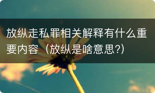 放纵走私罪相关解释有什么重要内容（放纵是啥意思?）
