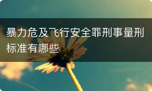 暴力危及飞行安全罪刑事量刑标准有哪些