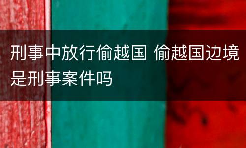 刑事中放行偷越国 偷越国边境是刑事案件吗