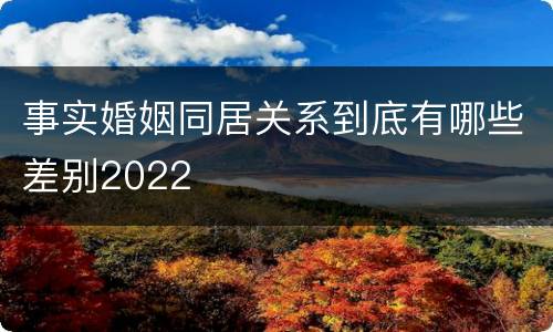 事实婚姻同居关系到底有哪些差别2022