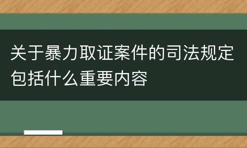 关于暴力取证案件的司法规定包括什么重要内容