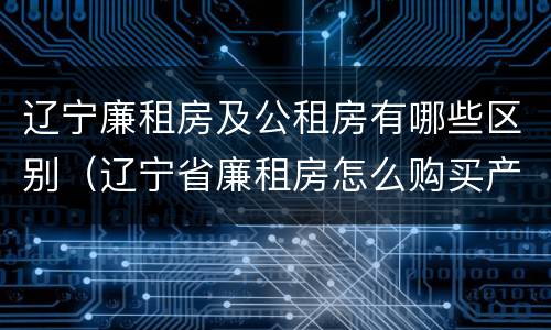 辽宁廉租房及公租房有哪些区别（辽宁省廉租房怎么购买产权）