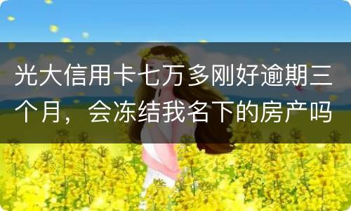 光大信用卡七万多刚好逾期三个月，会冻结我名下的房产吗