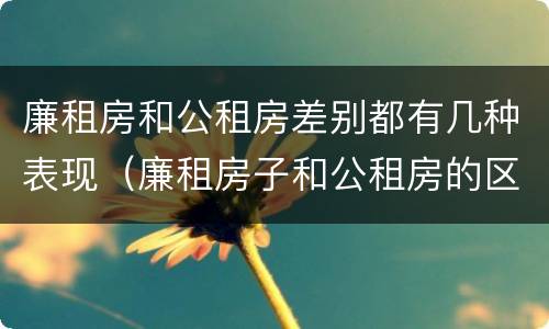 廉租房和公租房差别都有几种表现（廉租房子和公租房的区别）