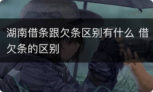 湖南借条跟欠条区别有什么 借欠条的区别