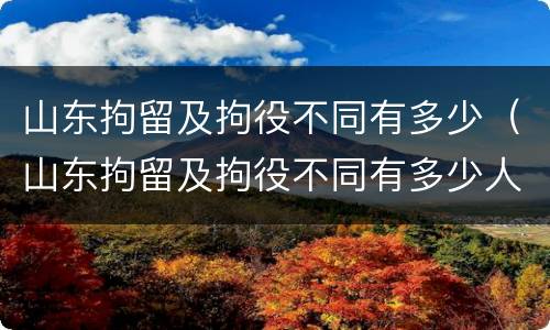 山东拘留及拘役不同有多少（山东拘留及拘役不同有多少人）