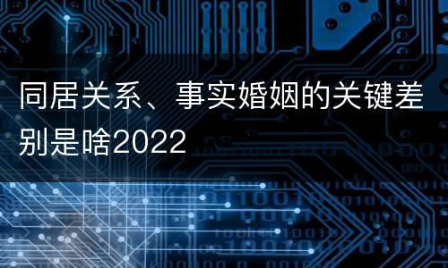同居关系、事实婚姻的关键差别是啥2022