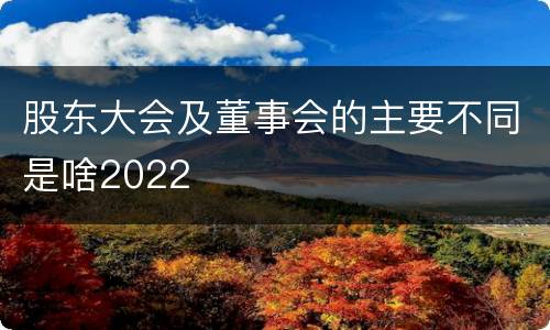 股东大会及董事会的主要不同是啥2022