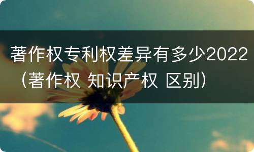 著作权专利权差异有多少2022（著作权 知识产权 区别）