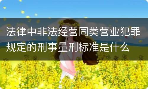 法律中非法经营同类营业犯罪规定的刑事量刑标准是什么