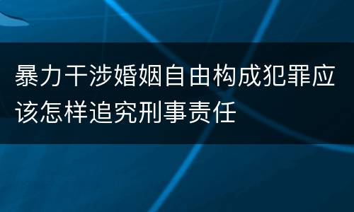 暴力干涉婚姻自由构成犯罪应该怎样追究刑事责任