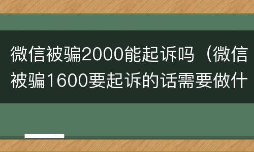 微信被骗2000能起诉吗（微信被骗1600要起诉的话需要做什么）
