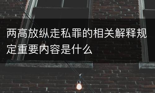 两高放纵走私罪的相关解释规定重要内容是什么