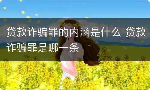 贷款诈骗罪的内涵是什么 贷款诈骗罪是哪一条