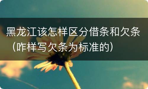 黑龙江该怎样区分借条和欠条（咋样写欠条为标准的）